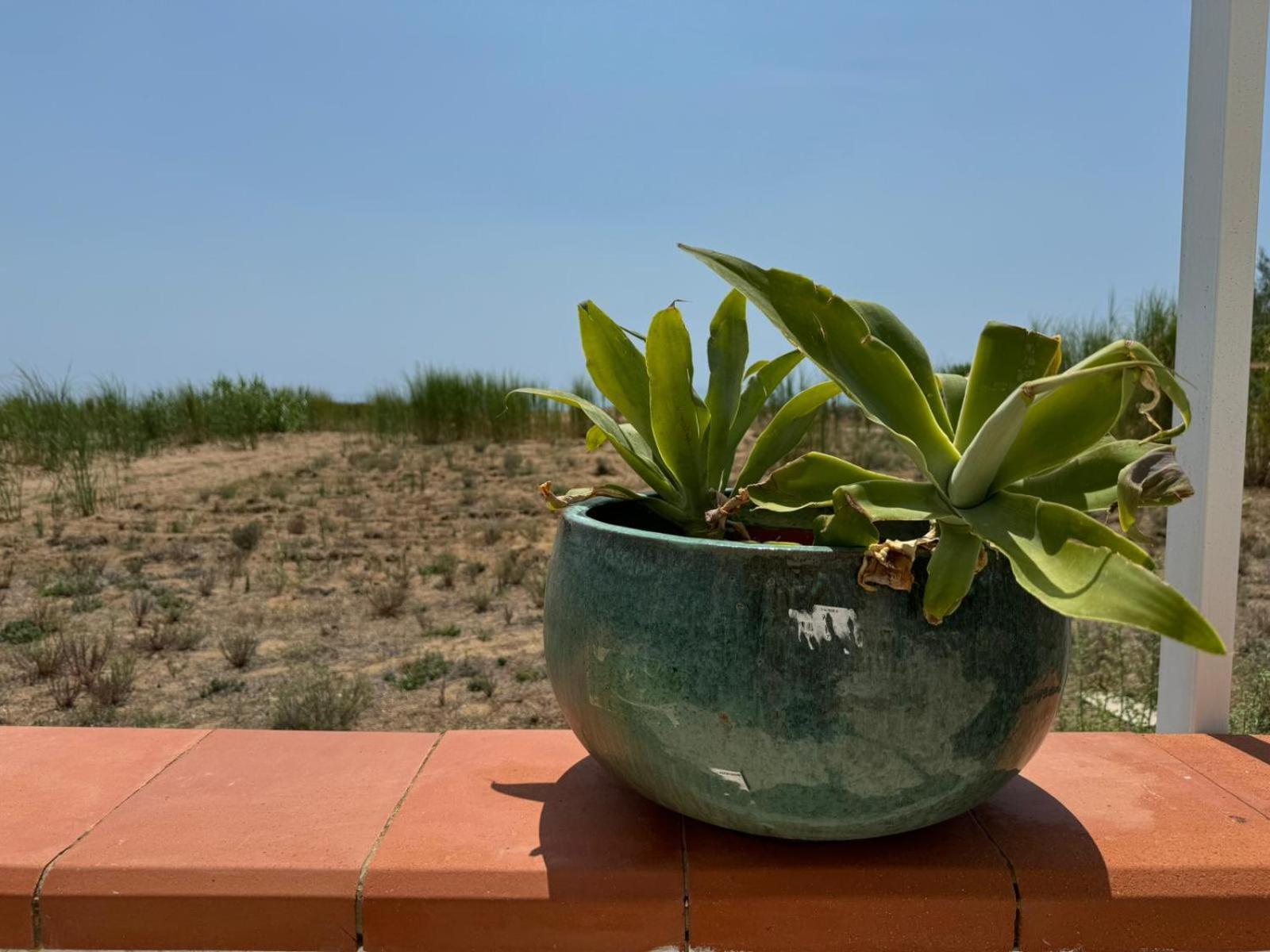 فيلا Fin Fiori مينفي المظهر الخارجي الصورة